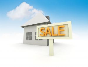 FHA Home Loan Basics