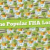 FHA Mortgage Loan Issues: "Identity Of Interest"